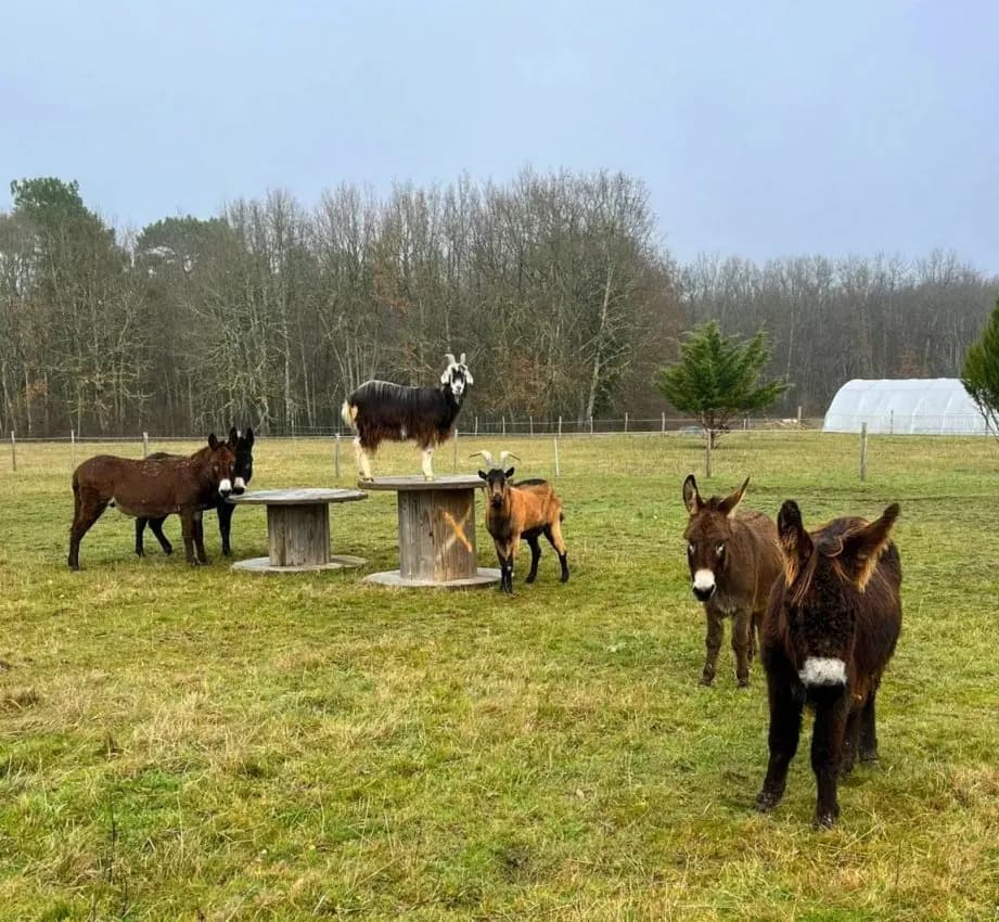 Une vue aérienne d'une ferme